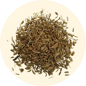 Carrot Seed Oil