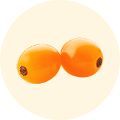 sea buckthorn