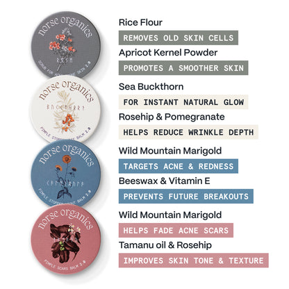 Ingredient highlights for the Acne Killer System jars: rice flour, sea buckthorn and marigold