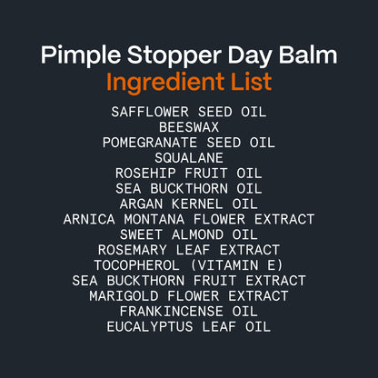 Ingredient list graphic for the Pimple Stopper Day Balm in the Acne Killer System