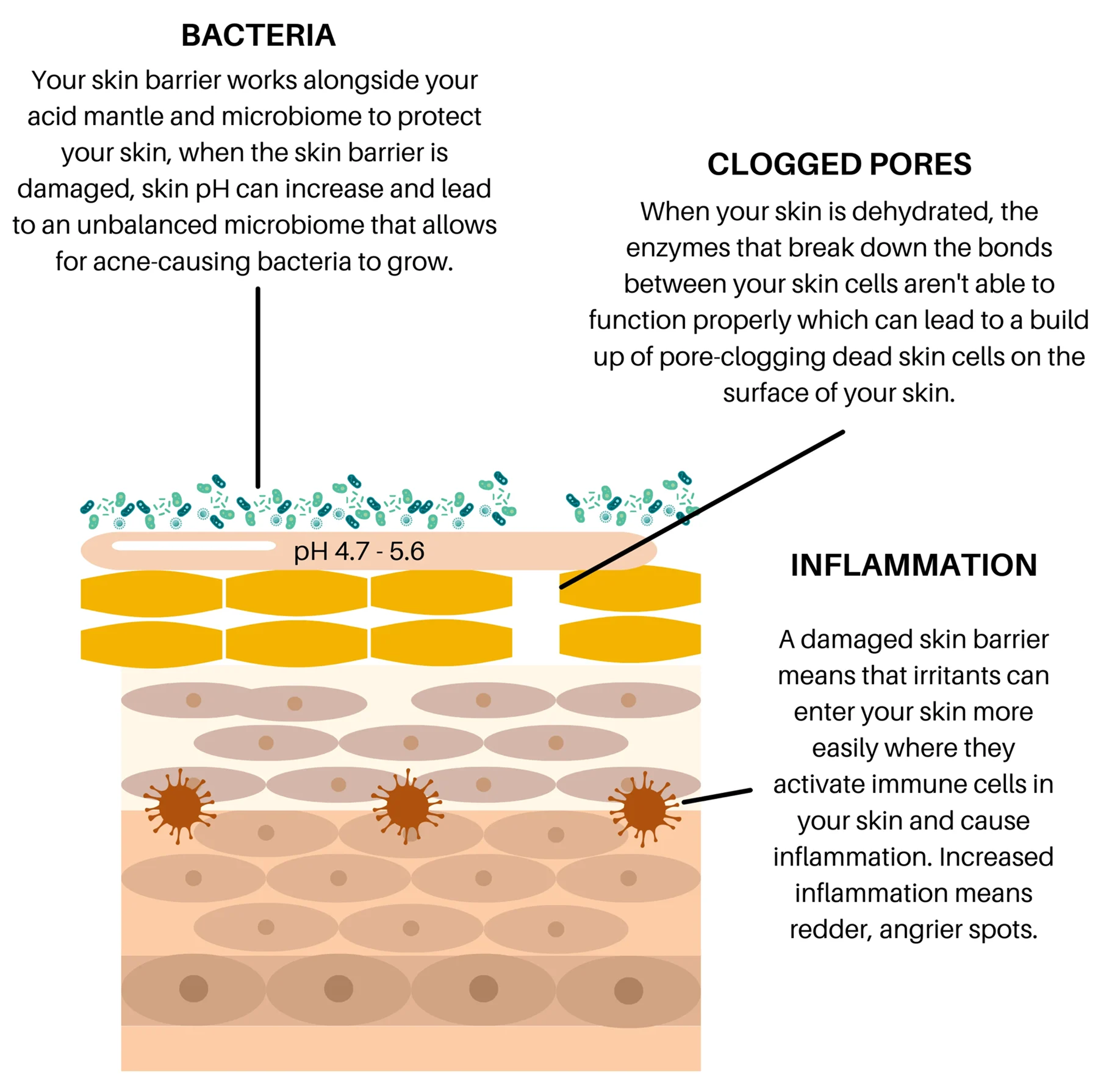 Before-and-after cheek photos showing fewer breakouts after using natural skincare