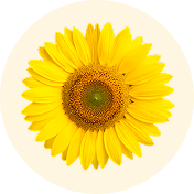 VITAMIN E